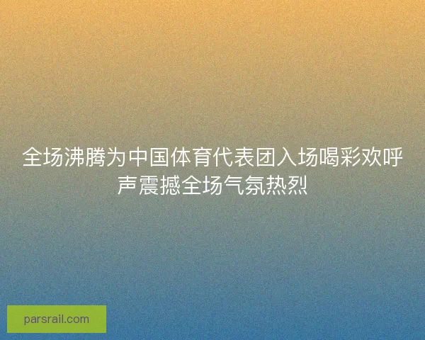 全场沸腾为中国体育代表团入场喝彩欢呼声震撼全场气氛热烈