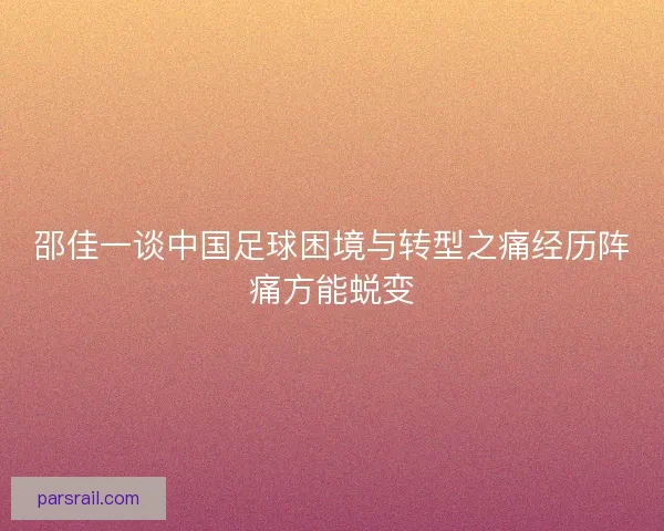邵佳一谈中国足球困境与转型之痛经历阵痛方能蜕变